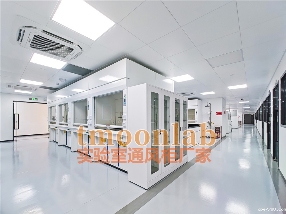 有机化学实验室通风橱生产厂家BetWay体育平台款式多样